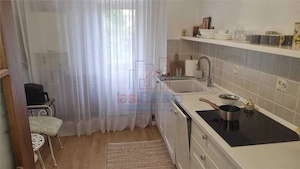 Apartament 3 camere Pacurari - imagine 6