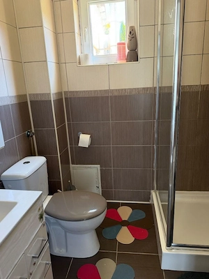 Sântana de Mureș - vânzare, casă 5 camere - teren 7,5 ari - imagine 7