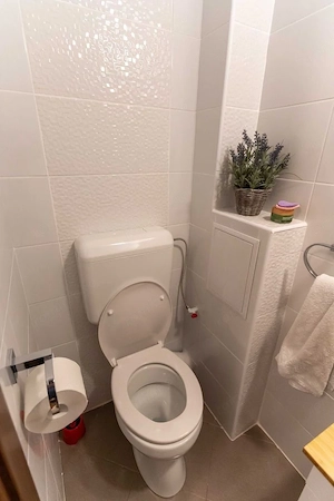 Apartament 3 camere zona Theodor Pallady - Jean Steriadi - imagine 7