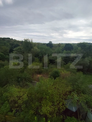 Casă cu teren 1000 mp, 4 dormitoare, 4 băi – Râpaș, Hunedoara - imagine 7