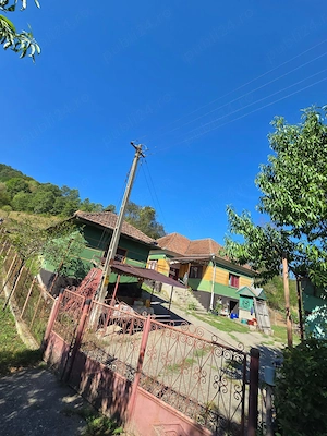 Casa la tara cu 3000 mp teren 