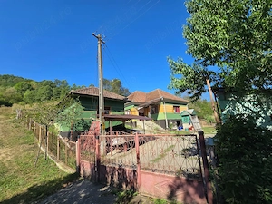 Casa la tara cu 3000 mp teren  - imagine 3