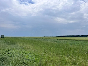 Băneasa, jud Giurgiu, teren agricol 7,6 ha