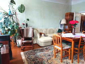 Casa si curte pretabila pentru 2 familii 980 mp teren liber Cisnadie - imagine 15