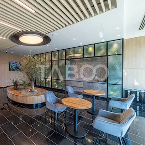 Birouri premium in Sibiu–Spatii flexibile moderne pentru companii - imagine 17