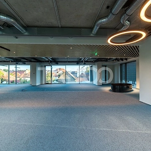 Birouri premium in Sibiu–Spatii flexibile moderne pentru companii - imagine 14