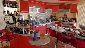 Casa / Vila zona Puskin D+P+E +terasa, 5 camere, 225 mp s. utila, 417 mp teren - imagine 4