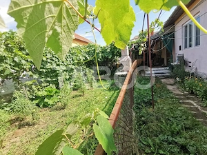 Casa individuala cu 4 camere in zona Trei Stejari din Sibiu - imagine 2