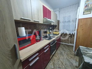 Apartament semidecomandat 2 camere parter 45 mpu Zona Tudor  - imagine 6