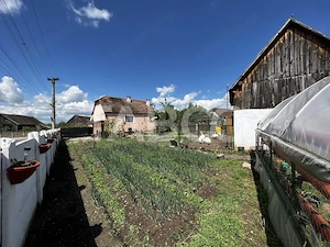 Casa individuala de vanzare cu 3 camere 500 mp teren Cornatel Sibiu  - imagine 4