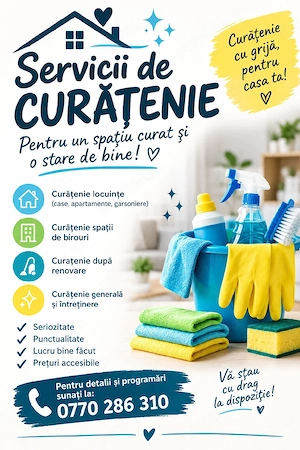 curatenie case apartamente birouri