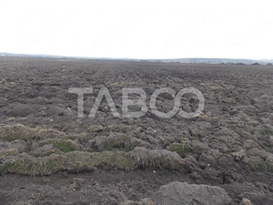 Teren intravilan de vanzare 10.000 mp in zona Industriala Vest Sibiu - imagine 3