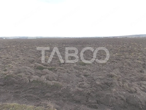 Teren intravilan de vanzare 10.000 mp in zona Industriala Vest Sibiu - imagine 5