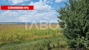  Oportunitate investitie Comision 0%  28000 mp in Sura Mica Sibiu