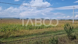  Oportunitate investitie Comision 0%  28000 mp in Sura Mica Sibiu - imagine 5