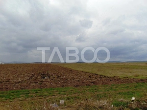 Teren intravilan 2 ha deschidere drum zona Industriala Vest Sibiu - imagine 4