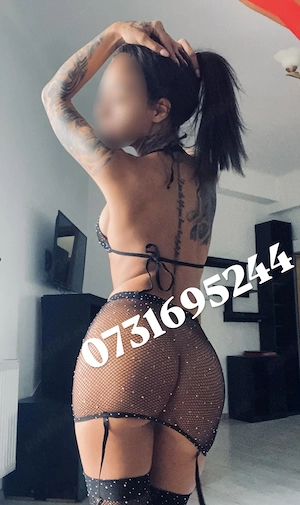 Profil real 100% 