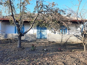 Vând casă în Vasilati 33 km de Bucuresti - imagine 6