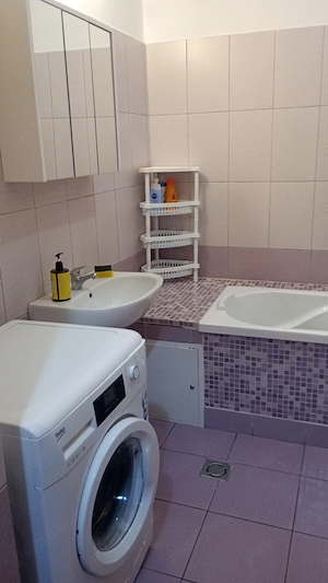Apartament 2 camere UTA Ared  - imagine 3