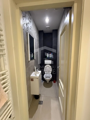 Spatiu Birou Stradal Zona Plevnei-Basarab 55mp - imagine 12