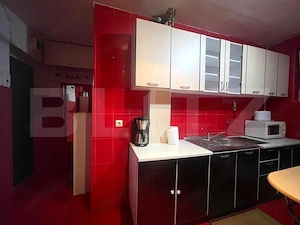 Apartament 2 camere, la cheie, C-tin Brancusi - imagine 7