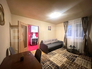 Apartament 2 camere, la cheie, C-tin Brancusi - imagine 2