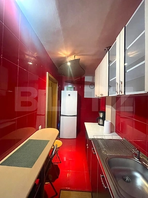 Apartament 2 camere, la cheie, C-tin Brancusi - imagine 5