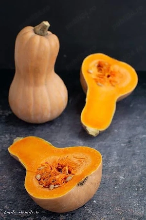 Dovleac de  placinta