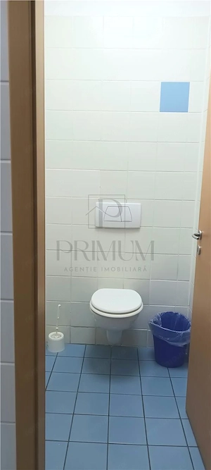Spatiu comercial cu vitrina - Aradului - imagine 5