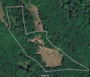 Poiană privată, pădure și cabană | Proprietate cu potențial turistic - imagine 8