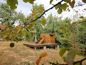 Poiană privată, pădure și cabană | Proprietate cu potențial turistic - imagine 5