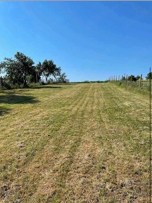 Proprietar vând teren intravilan 1200 mp in Daia (Sibiu) Toate utilitatile pe teren 