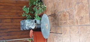Taler disc gretar