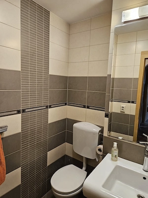 Apartament 3 camere micalaca de inchiriat - imagine 10