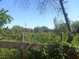 Casa de vânzare Comuna Costuleni jud Iasi - imagine 4