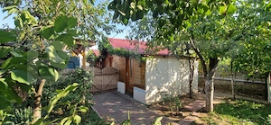Vila P+1, 270 mp, 741 mp teren, zona Catargiu - imagine 3