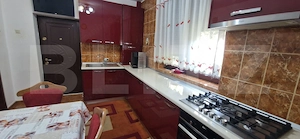 Vila P+1, 270 mp, 741 mp teren, zona Catargiu - imagine 13