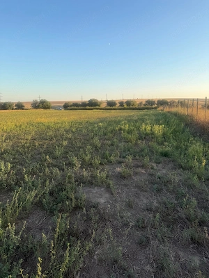 Teren intravilan 4.003 mp Frecatei, Tulcea - drum pe 3 laturi, curent, proprietar - imagine 6