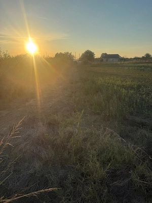 Teren intravilan 4.003 mp Frecatei, Tulcea - drum pe 3 laturi, curent, proprietar - imagine 8