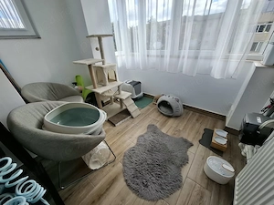 Zona str. Transilvaniei (Terenul de Atletism)   ap. 3 camere, 2 balcoane, etaj 3, decomandat - imagine 9