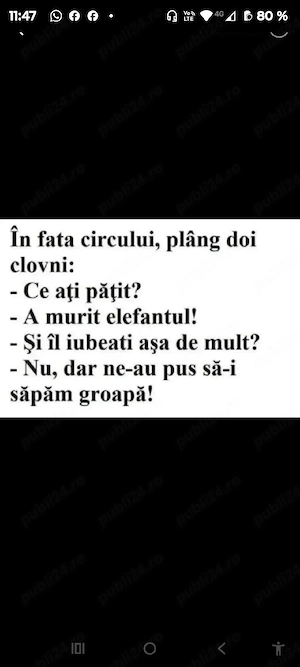 am fost și tânăr 