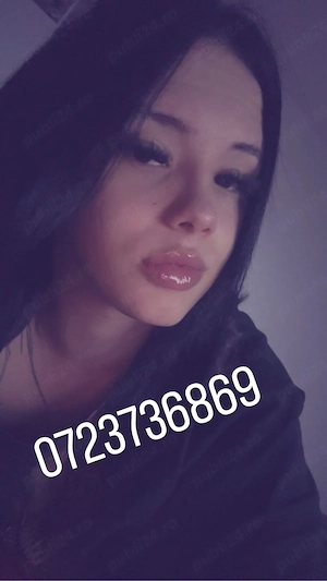  trans reala 
