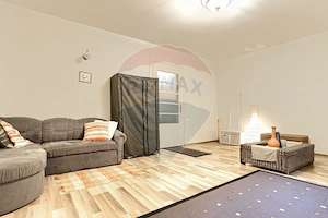 Apartament o cameră de închiriat  zona Ultracentral-B-dul DECEBAL - imagine 10
