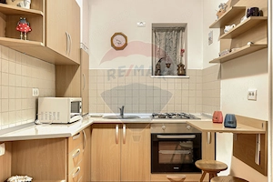 Apartament o cameră de închiriat  zona Ultracentral-B-dul DECEBAL - imagine 4