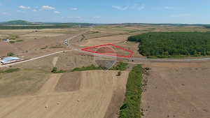 Teren 7.315 mp, Inel Metropolitan, proxim Zoopark Oradea, de vânzare - imagine 5