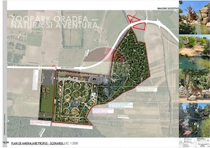Teren 7.315 mp, Inel Metropolitan, proxim Zoopark Oradea, de vânzare - imagine 11