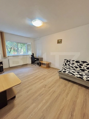 Apartament cu o camera, 28 mp, zona Lipovei - imagine 3