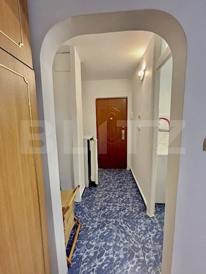 Apartament cu o camera, 28 mp, zona Lipovei - imagine 4