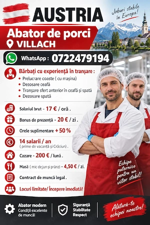 AUSTRIA  - Abator porc  - Villach  ! 