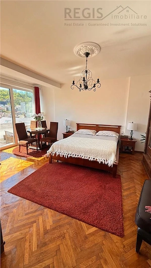 Studio in zona centrala , str Alexandru Ioan Cuza - imagine 4
